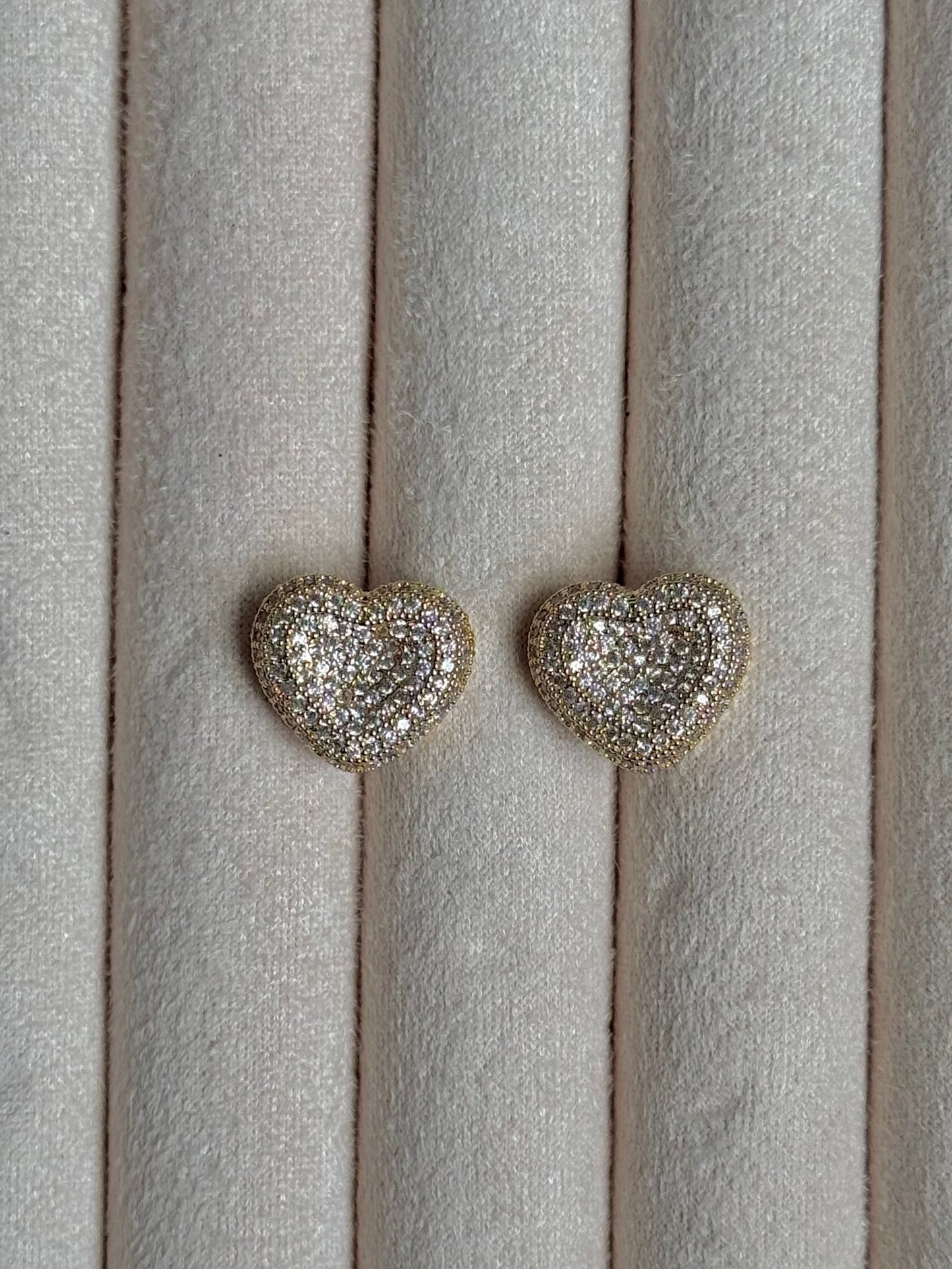 Heart Stainless Steel Earrings